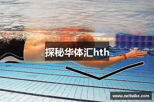 探秘华体汇hth